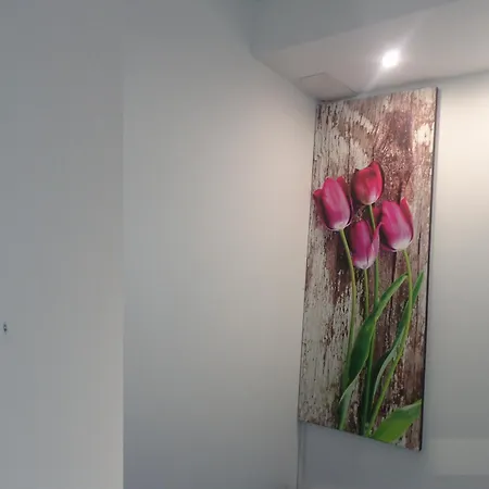 Apartment Bellissimo Vicino A Centro Storico Autostrada Per Assisi E Toscana *
